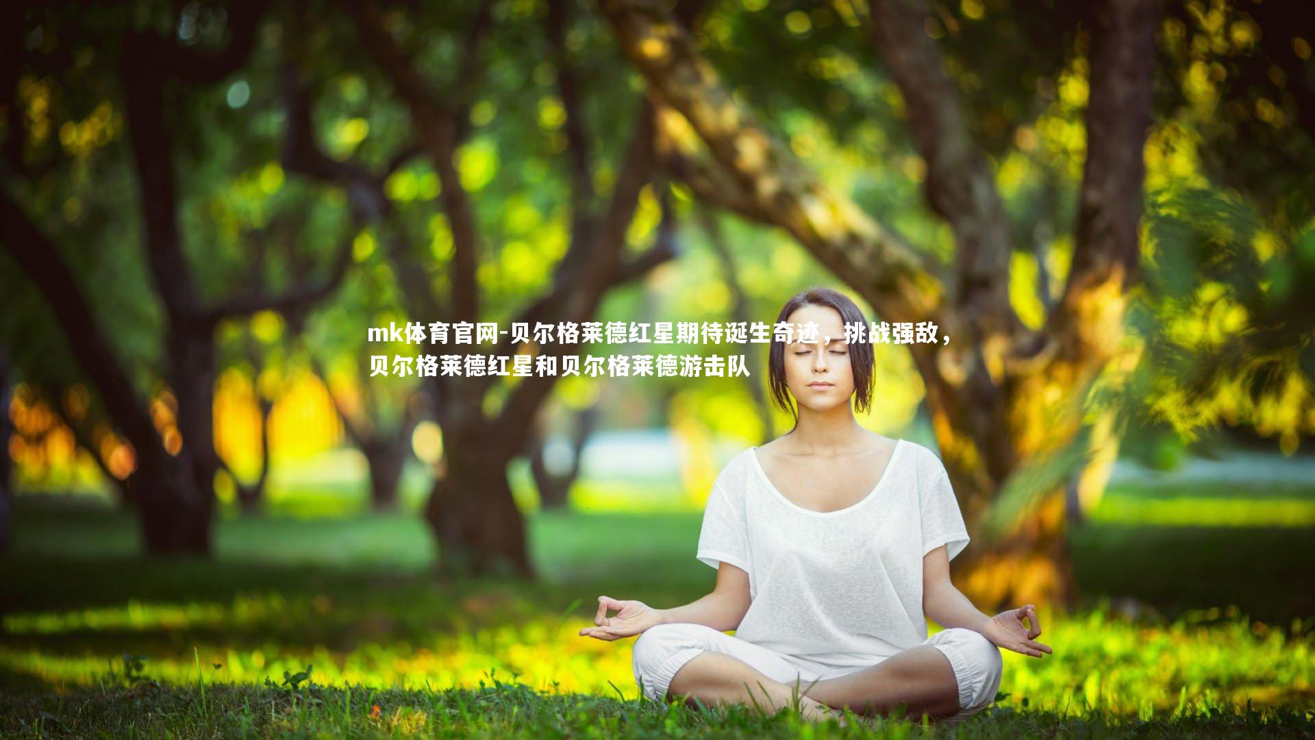 贝尔格莱德红星期待诞生奇迹，挑战强敌，贝尔格莱德红星和贝尔格莱德游击队