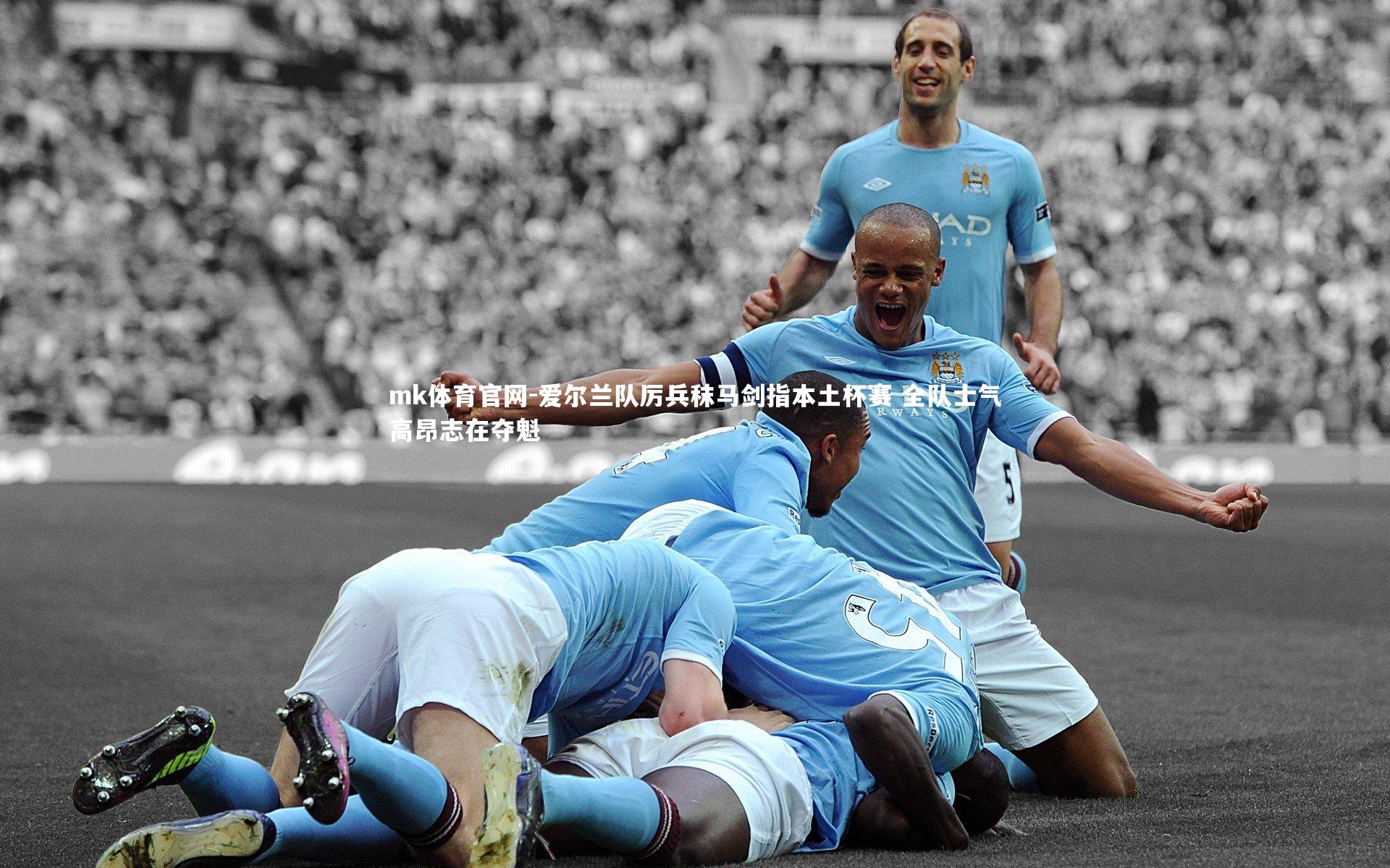 爱尔兰队厉兵秣马剑指本土杯赛 全队士气高昂志在夺魁